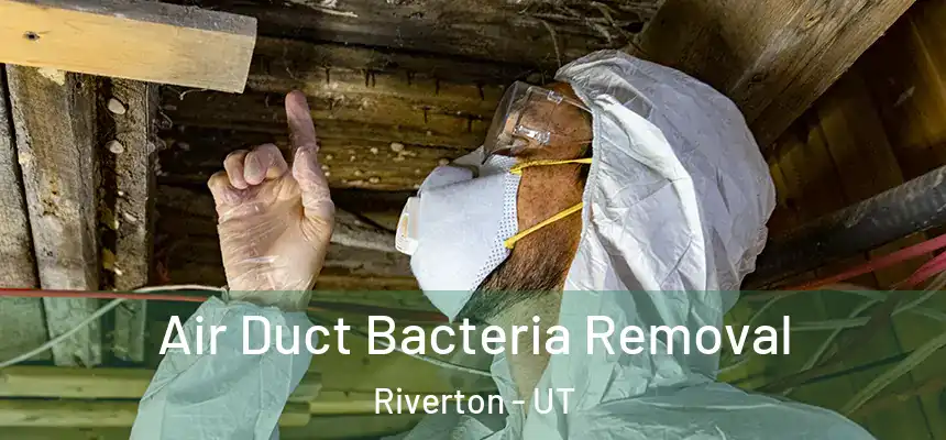  Air Duct Bacteria Removal Riverton - UT
