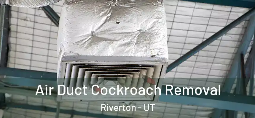  Air Duct Cockroach Removal Riverton - UT