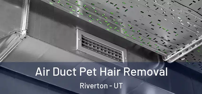 Air Duct Pet Hair Removal Riverton - UT