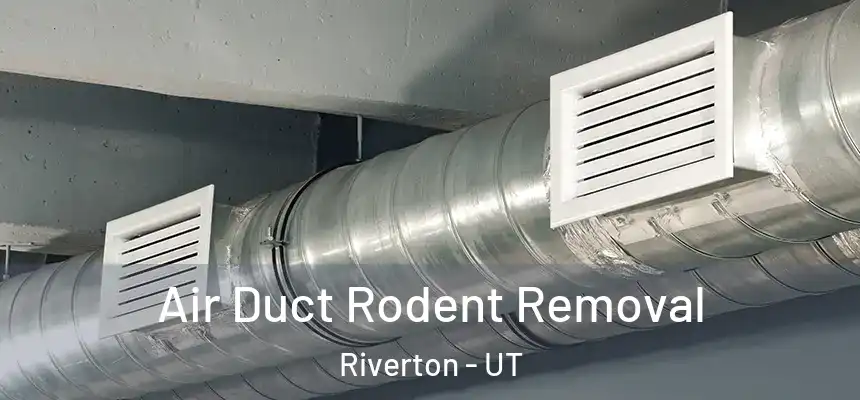  Air Duct Rodent Removal Riverton - UT