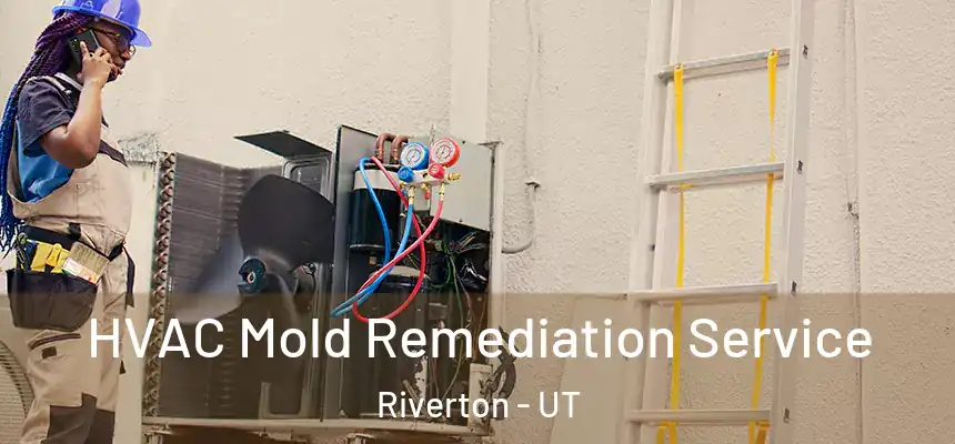  HVAC Mold Remediation Service Riverton - UT
