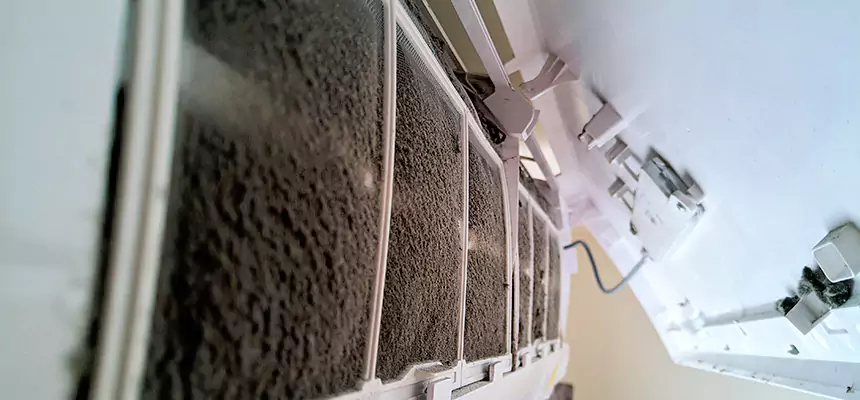 Preventive Air Duct Bacteria Removal in Riverton