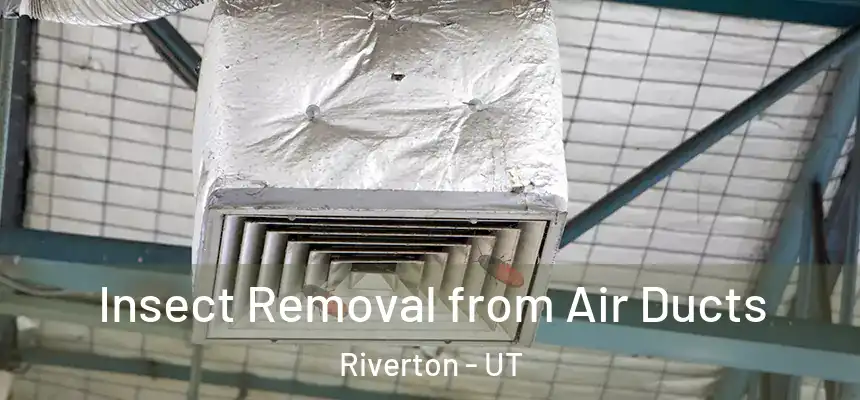  Insect Removal from Air Ducts Riverton - UT