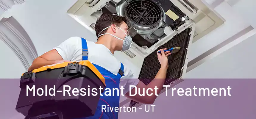  Mold-Resistant Duct Treatment Riverton - UT