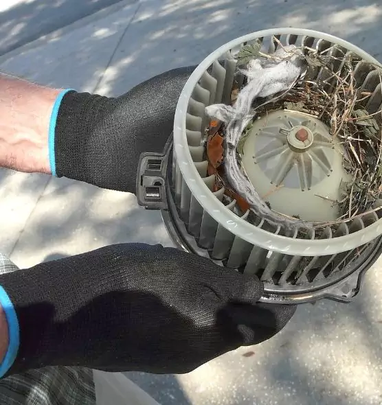 About Air Duct Mice Removal in Riverton, UT