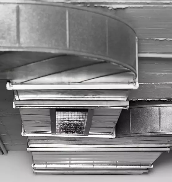 Professional Air Duct Pet Hair Removal in Riverton, UT