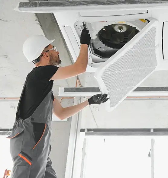 About Air Duct Rodent Removal in Riverton, UT