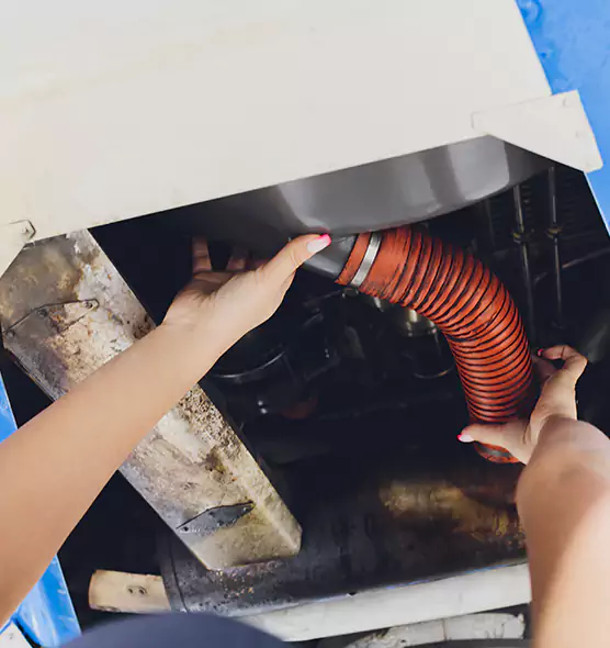 About Air Duct Virus Disinfection in Riverton, UT