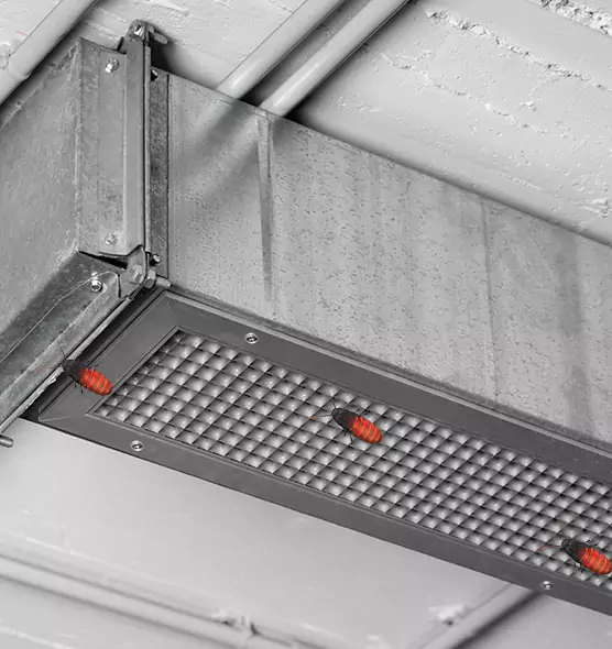 Affordable Insect Removal from Air Ducts in Riverton, UT