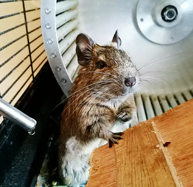 Why Homeowners & Businesses Trust Us Riverton, UT?